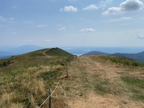 img_9925.jpeg