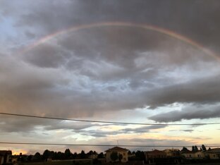 395c2298-542d-4872-bf94-05e0f8ef8aba 395c2298-542d-4872-bf94-05e0f8ef8aba