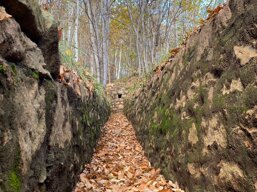 67db1302-601f-4fce-b777-8c8bef3a45e2