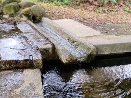 79fd61fe-e074-45e2-a879-41daaabff182.jpeg 79fd61fe-e074-45e2-a879-41daaabff182.jpeg