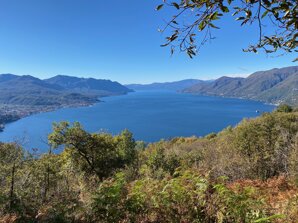 img_2487.jpeg