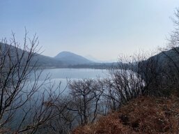 img_6845.jpeg img_6845.jpeg