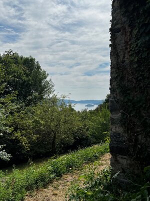 img_4931.jpeg
