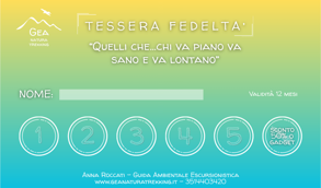 f7466ed4-3229-4fcd-ac08-f644eb1dfcf9