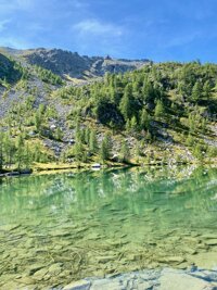 img_0336.jpeg