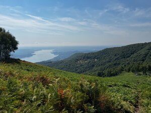 img_4805.jpeg
