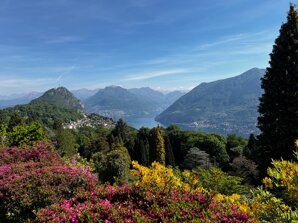 img_0087.jpeg