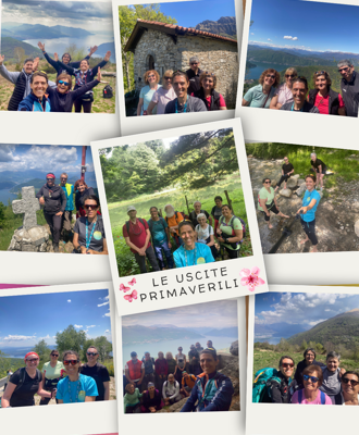 d3d9fe46-279d-4980-8500-a1ccb250fc8b