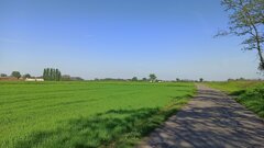 104643899master.jpeg 104643899master.jpeg