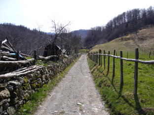 944c8c14-0b18-4d0a-a6e5-c60b2192d8b7 944c8c14-0b18-4d0a-a6e5-c60b2192d8b7