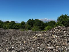 img_9490.jpeg