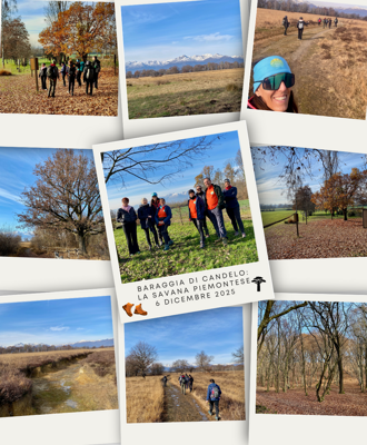 9d41c5b6-bc4d-417d-850a-0d205cb5b6a5