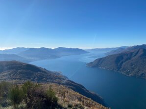 img_1516.jpeg