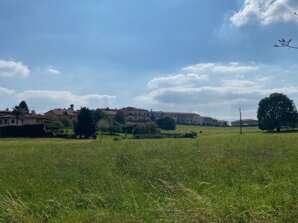 img_0967.jpeg
