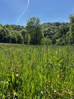 img_9888.jpeg