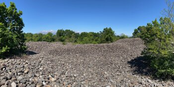 img_9485.jpeg