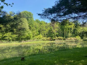 img_5465.jpeg