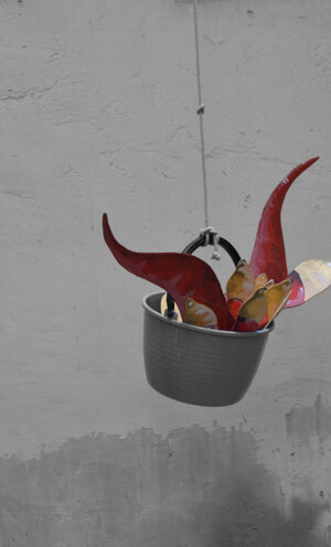 eyJpdCI6IiJ9 eyJpdCI6IiJ9