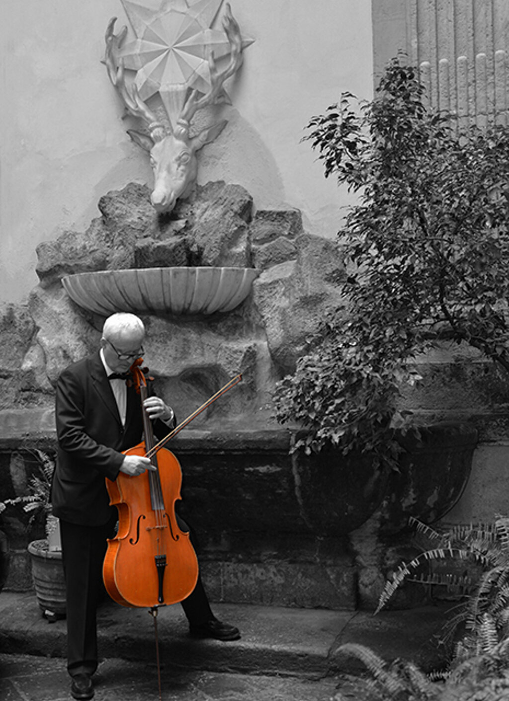 eyJpdCI6IiJ9 eyJpdCI6IiJ9