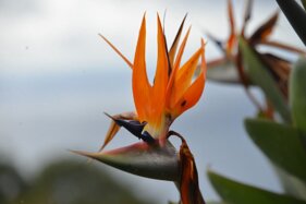 52e1fd32-28ee-46d1-b299-43c3e6232433