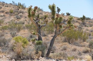 a278361b-fc6b-454b-b651-74f953550d14.jpeg a278361b-fc6b-454b-b651-74f953550d14.jpeg