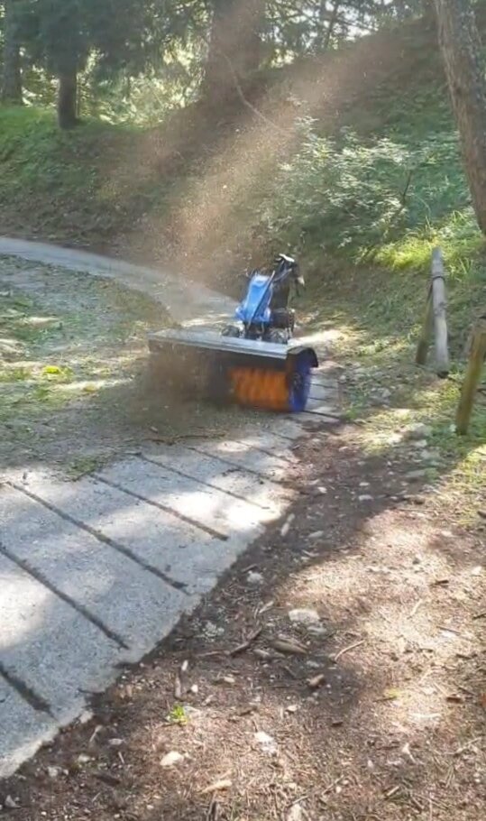 whatsapp image 2026-02-12 at 15.07.06.jpeg