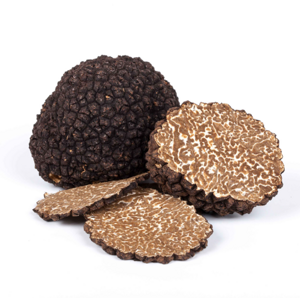tartufo-uncinato-tuber-uncinatum-chatin