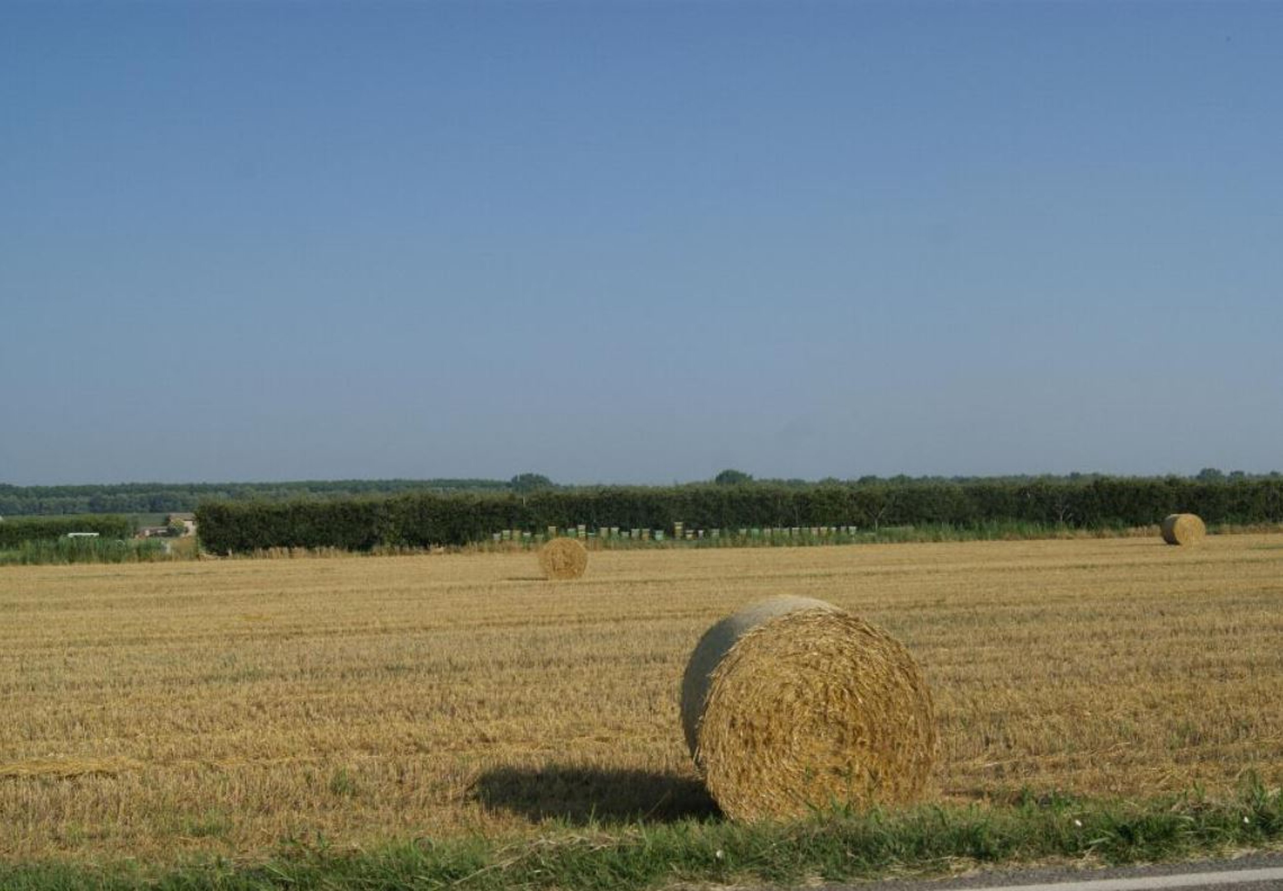 7977dd49-e3d1-4977-b017-7c7d9c0c1f18