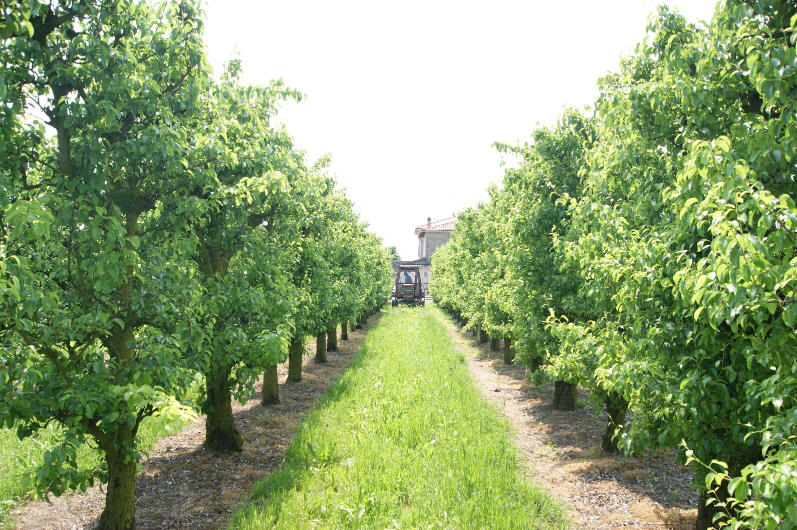 cf83b34c-2377-41dc-9717-635c3bfa05f0 cf83b34c-2377-41dc-9717-635c3bfa05f0