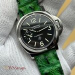 cinturino-in-alligatore-hornback