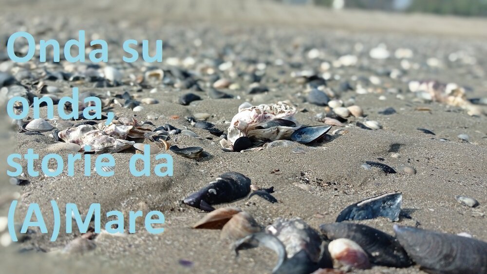 Onda su onda, storie da (A)Mare