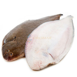 278b0759-b633-4148-a3f7-e1e8f2042cf2