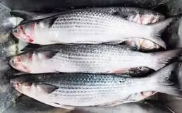 ce61dc67-f459-49f2-8c92-39106b63fbe4