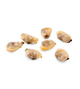 adee8a76-8777-423b-883e-08f3db8e2ee6