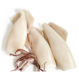 26251a89-8658-4509-b90b-30e561123c85