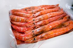 24ef29f5-c9e9-4c99-b094-50afb5273a24