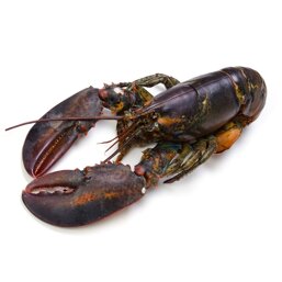 e61dbc3e-9f34-4a53-8ecd-ca63e46ed60c