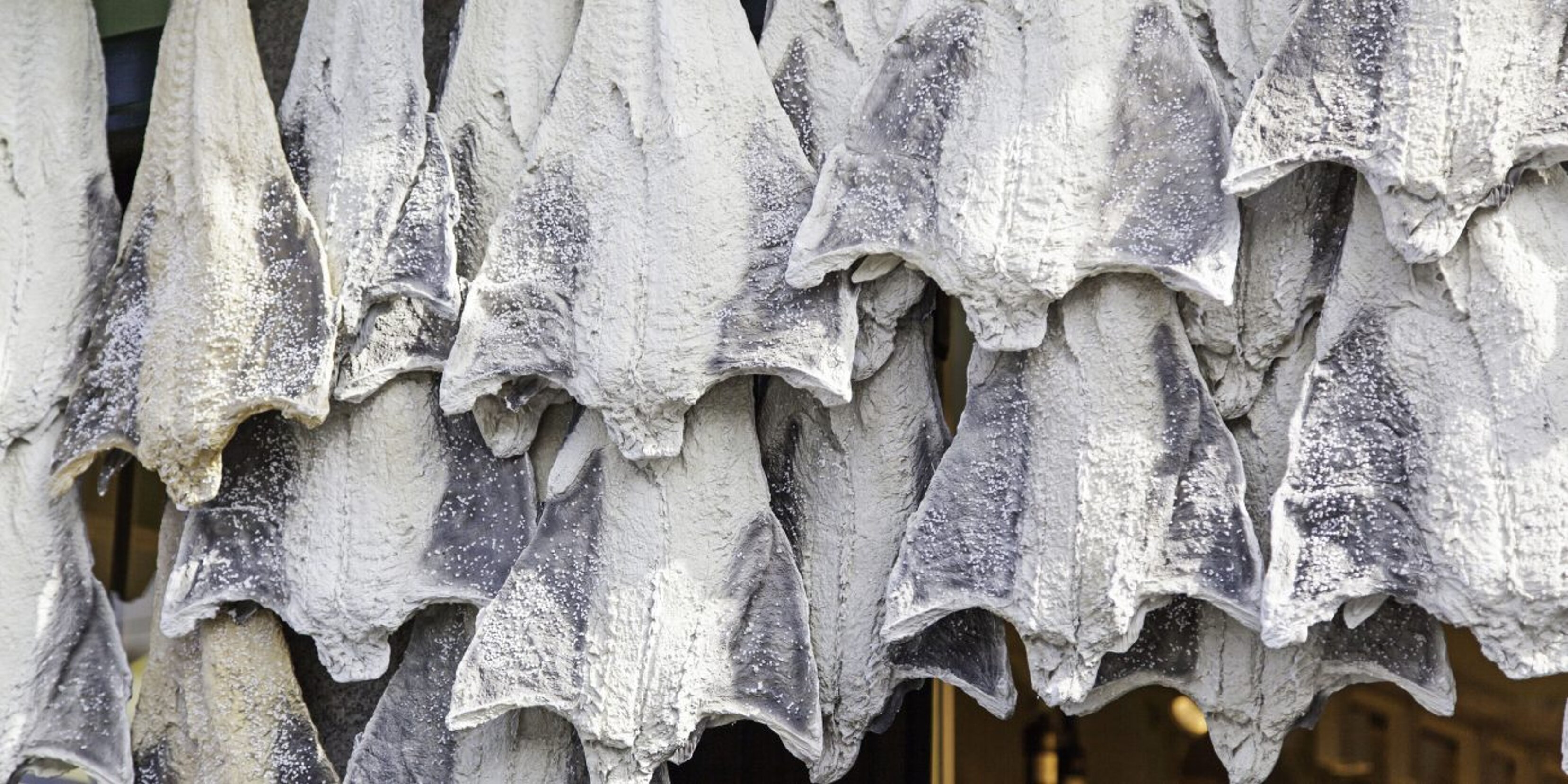 5a42cd48-ce6e-4e85-8680-c490e9a9cd60