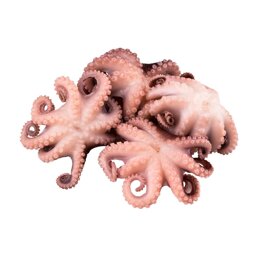 8e37fe71-c452-4a8f-bf72-0b56ab511fc7