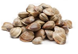 6a1428ca-c303-4c4f-88b3-57033ea99b15