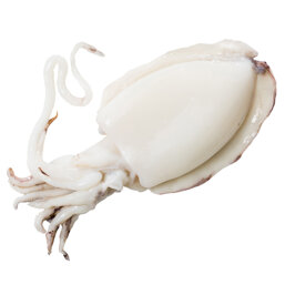 af0a1be7-190f-4fe6-97c2-812e5f528bd1