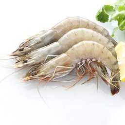 11ff9230-5fb7-4dba-92f4-b2235c26a2d6