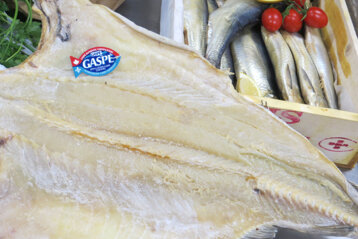 5decd83b-e55e-4c1b-b1ec-1aa618b618e8