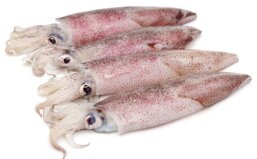 4fc90c1b-a449-416d-b4a0-e39ad69fa8d0