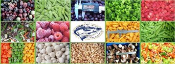 41ff0b77-5e36-434d-a9ea-a0ccd86e12c9