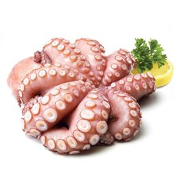 4fe99ff9-a638-4d58-99d3-9761ab03552c