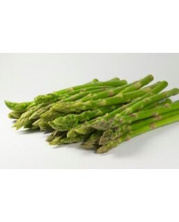 22cfecbb-6af3-47ae-84b4-e18ea168650c