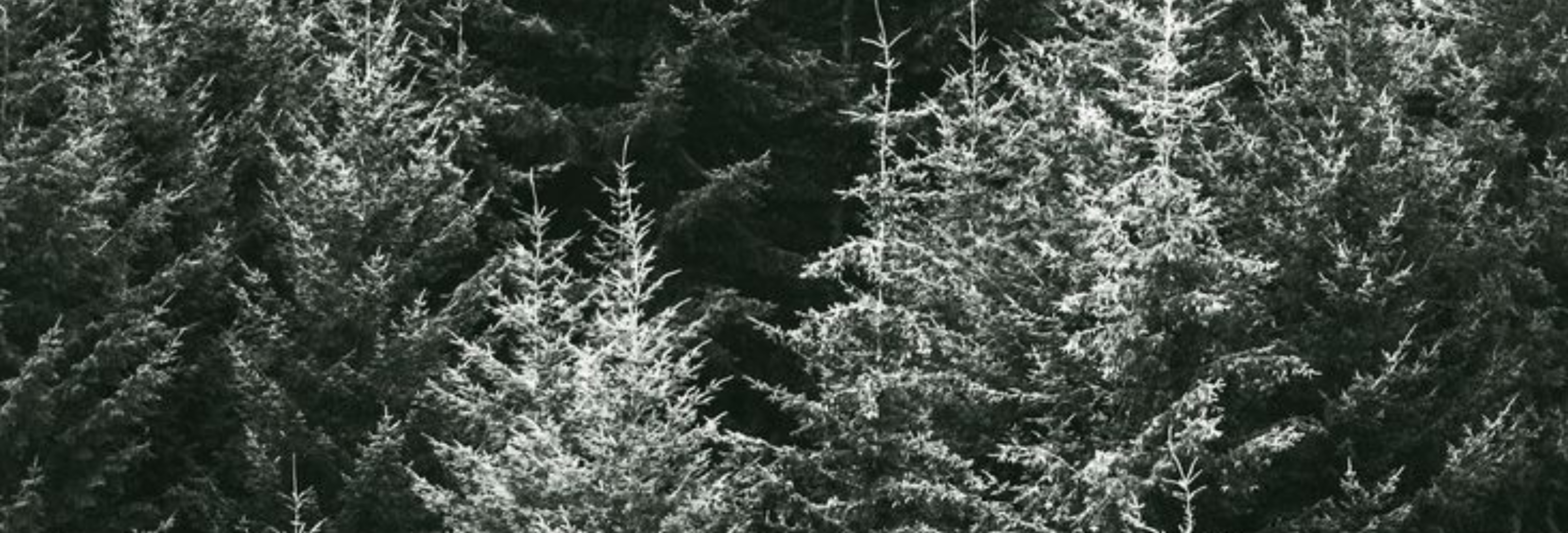 d5082b72-3d24-417b-a533-8f7d39d95e06.png d5082b72-3d24-417b-a533-8f7d39d95e06.png