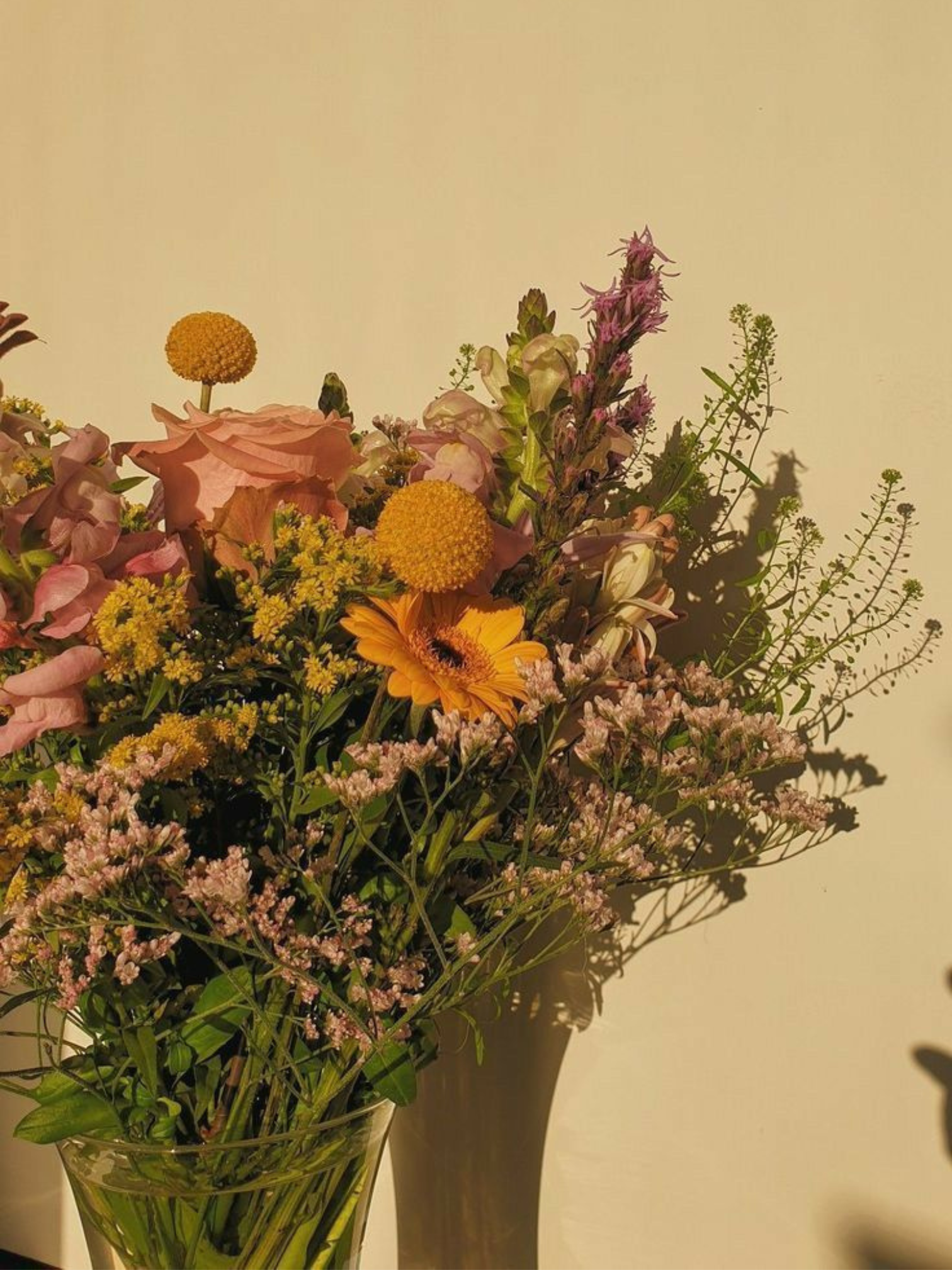 91137452-e0b5-4414-8f11-d6bf7d4a562f.png 91137452-e0b5-4414-8f11-d6bf7d4a562f.png