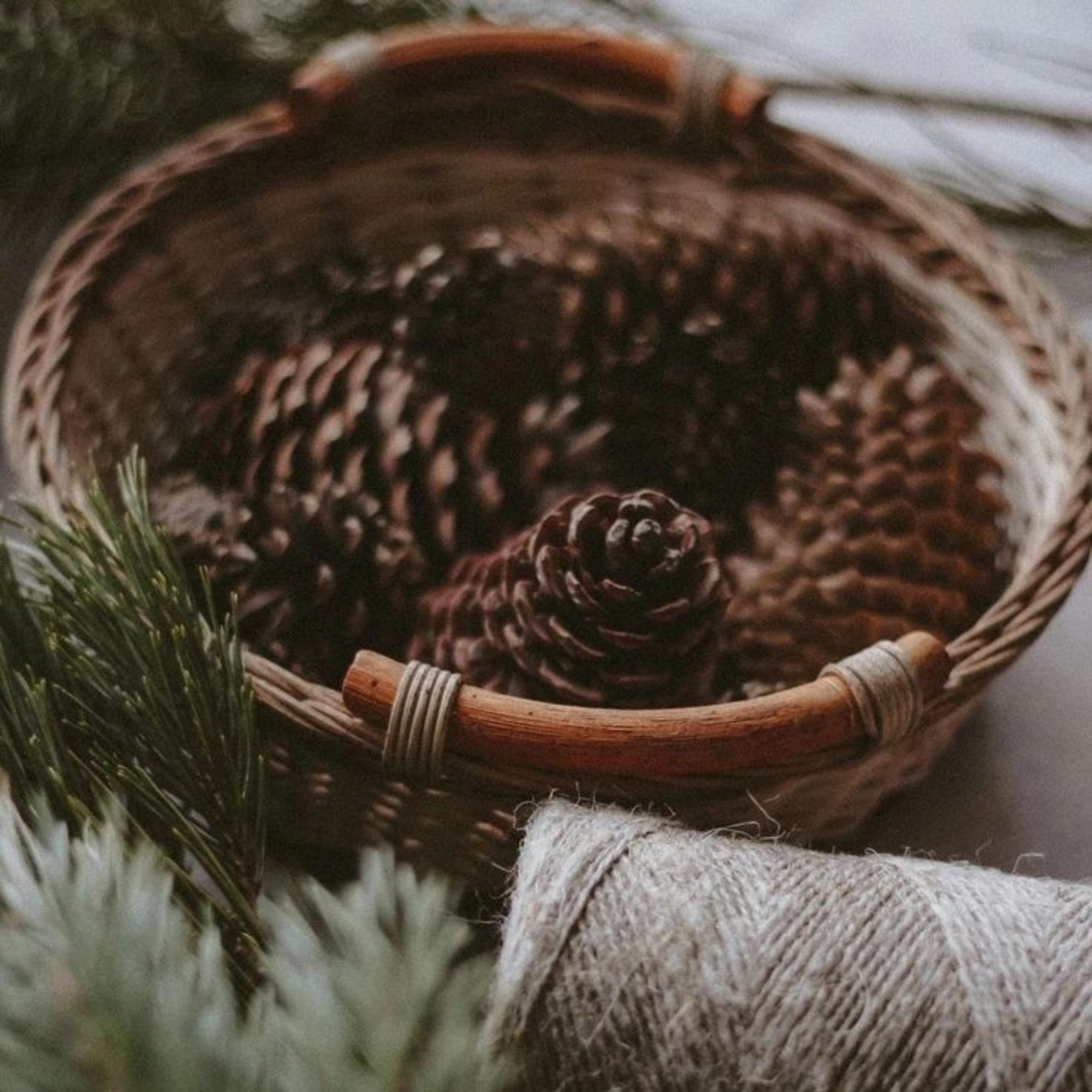 f50c2a35-2276-4f9e-801e-e7a08c6caede.png f50c2a35-2276-4f9e-801e-e7a08c6caede.png